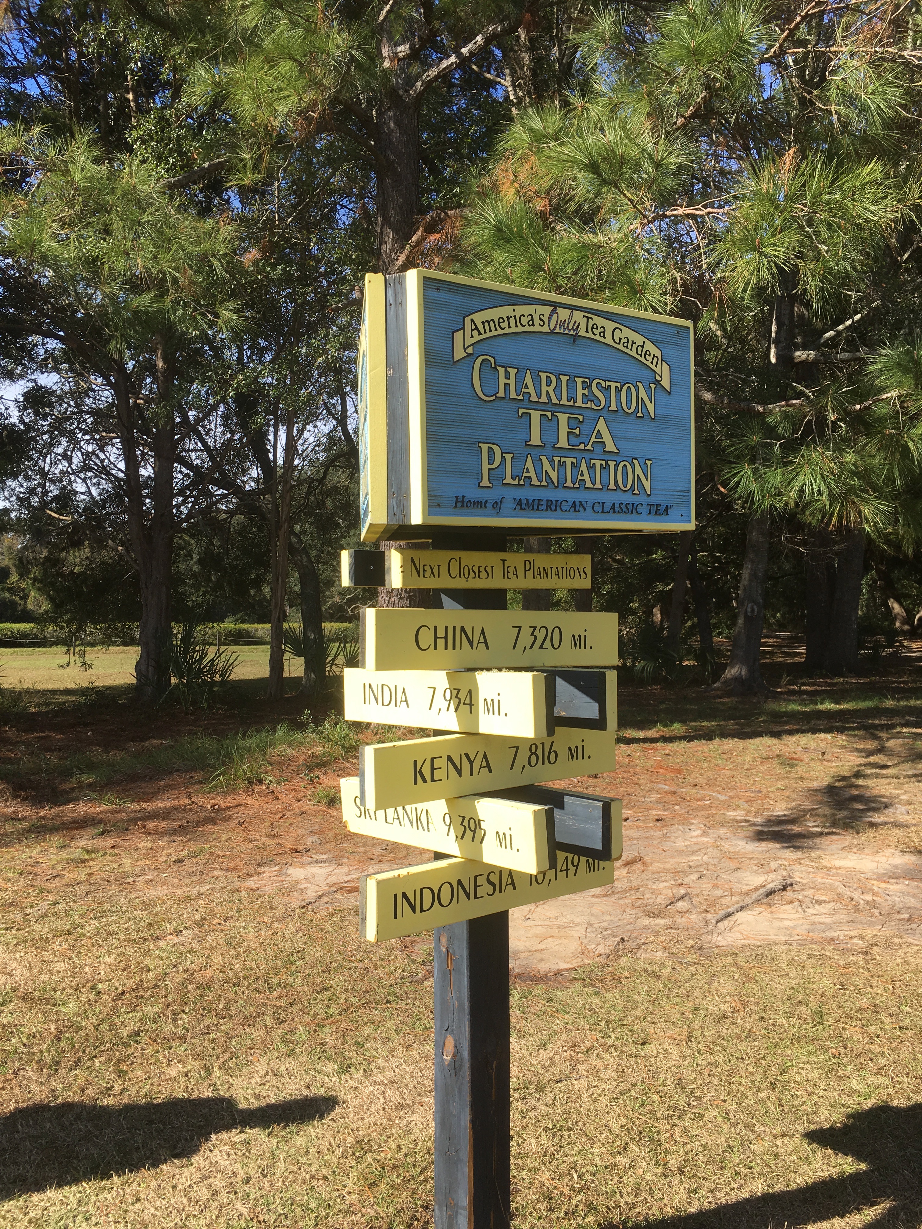 Charleston Tea Plantation sign